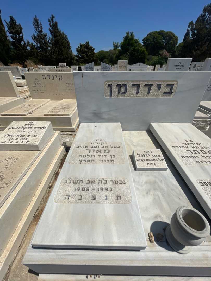 קברו של מאיר בידרמן. תמונה 2