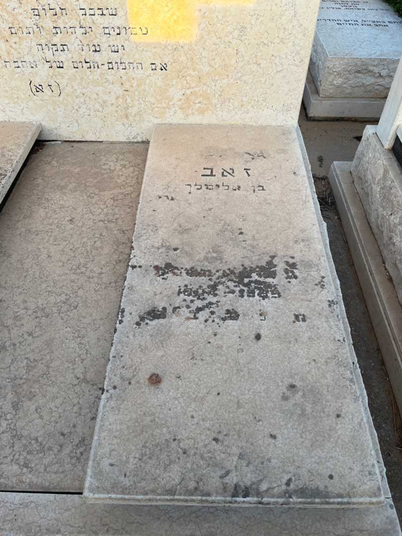 קברו של זאב אלבלינגר. תמונה 1