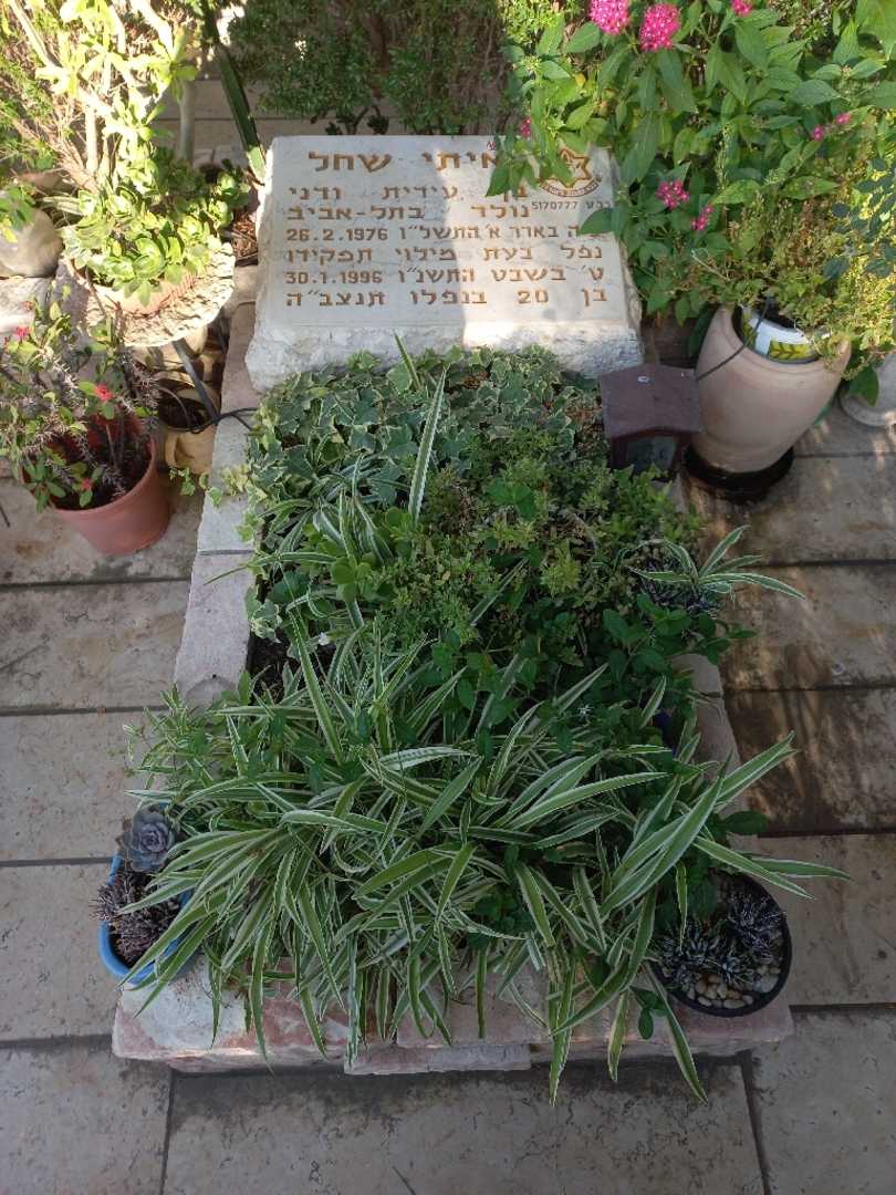 קברו של איתי שחל