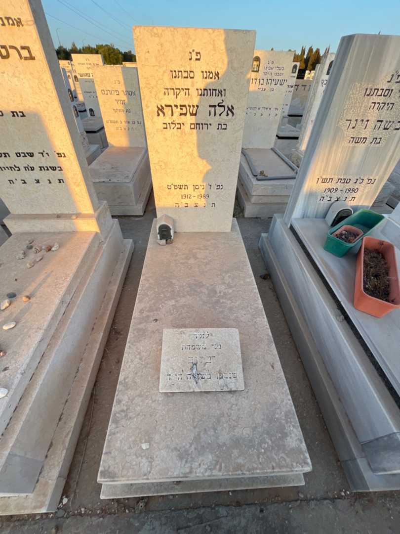 קברו של אלה שפירא