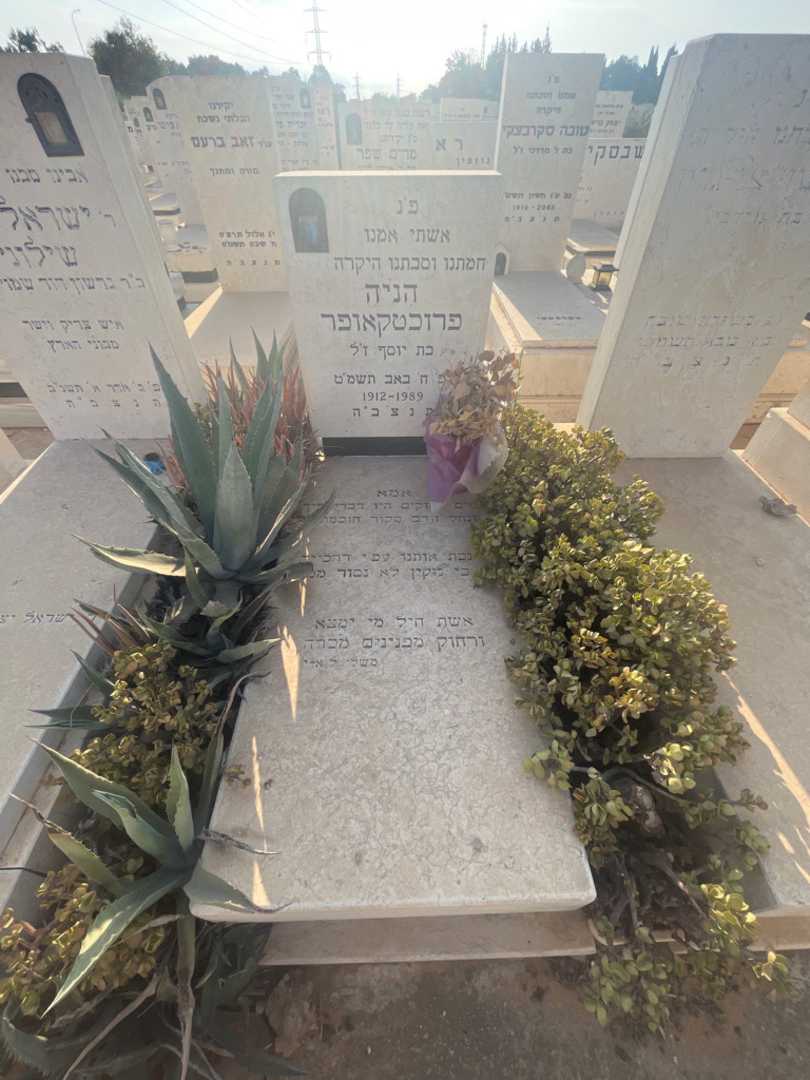 קברו של הניה פרוכטקאופר