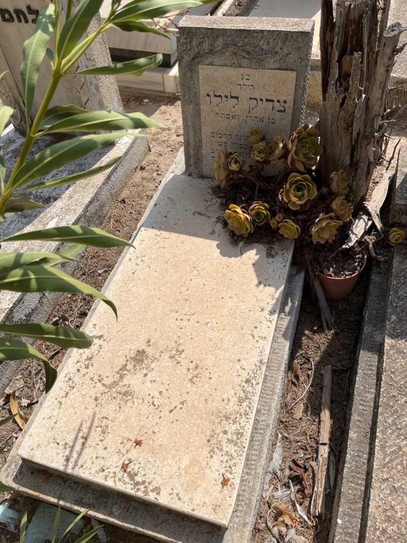 קברו של צדיק לילו