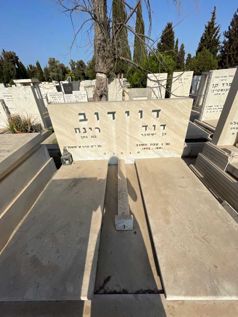 קברו של דוד דוידוב. תמונה 1