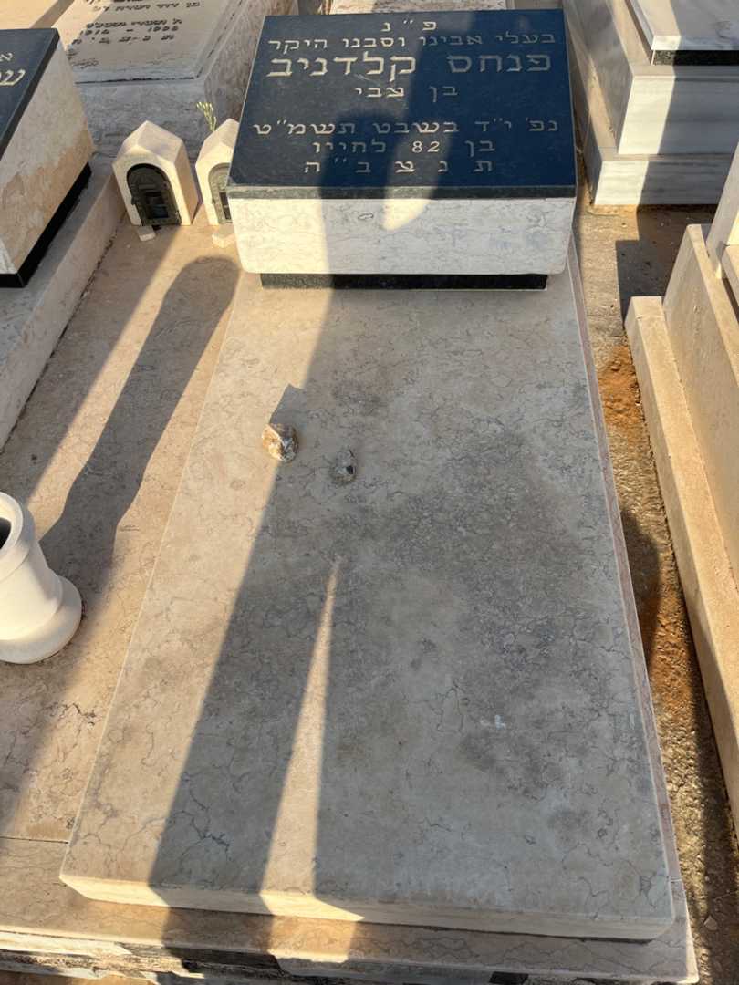 קברו של פנחס קלדניב. תמונה 1
