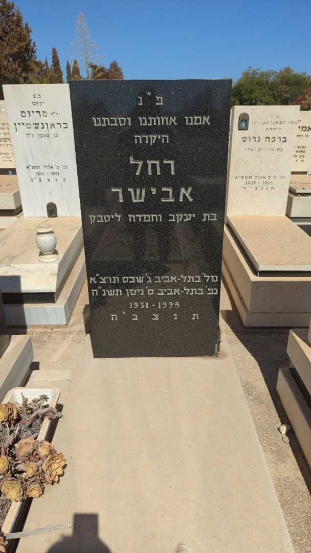 קברו של רחל אבישר. תמונה 1