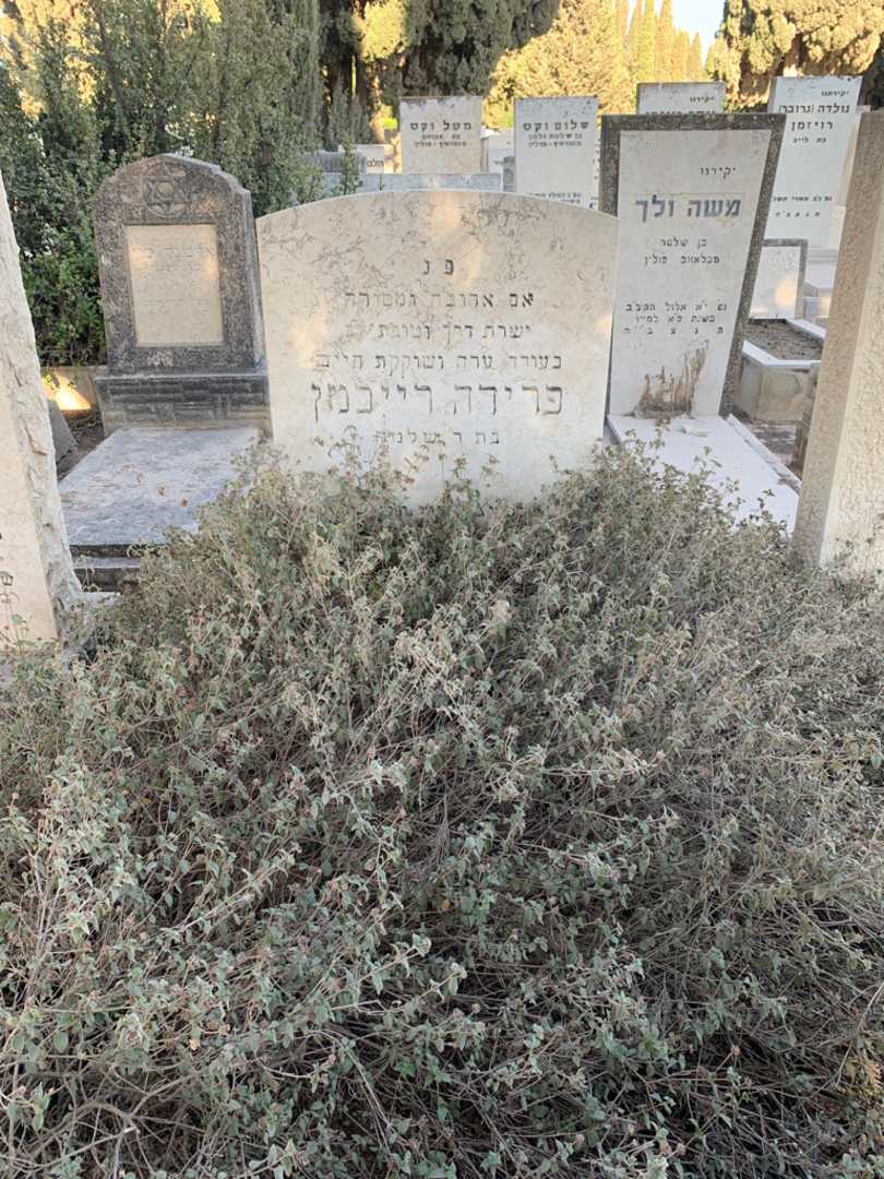 קברו של פרידה רייכמן