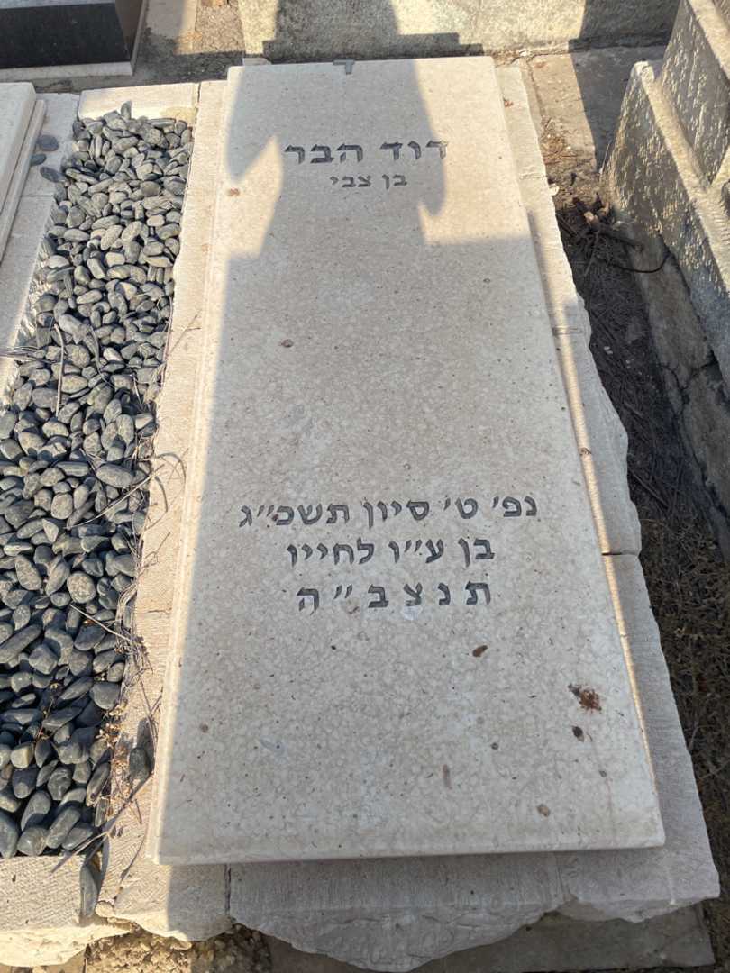 קברו של דוד הבר. תמונה 2