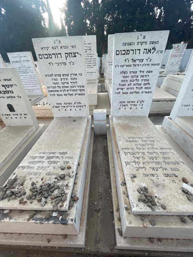 קברו של לאה דורמבוס. תמונה 1