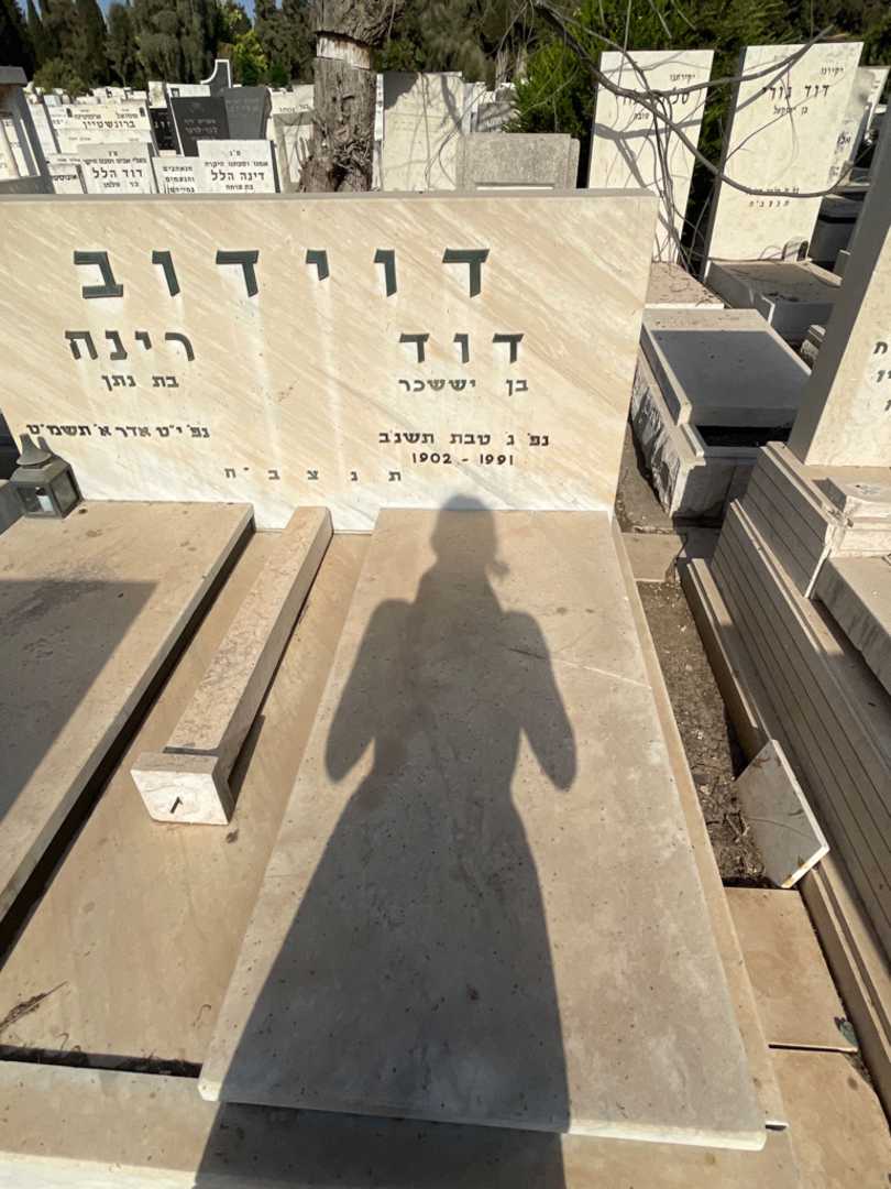 קברו של דוד דוידוב. תמונה 2