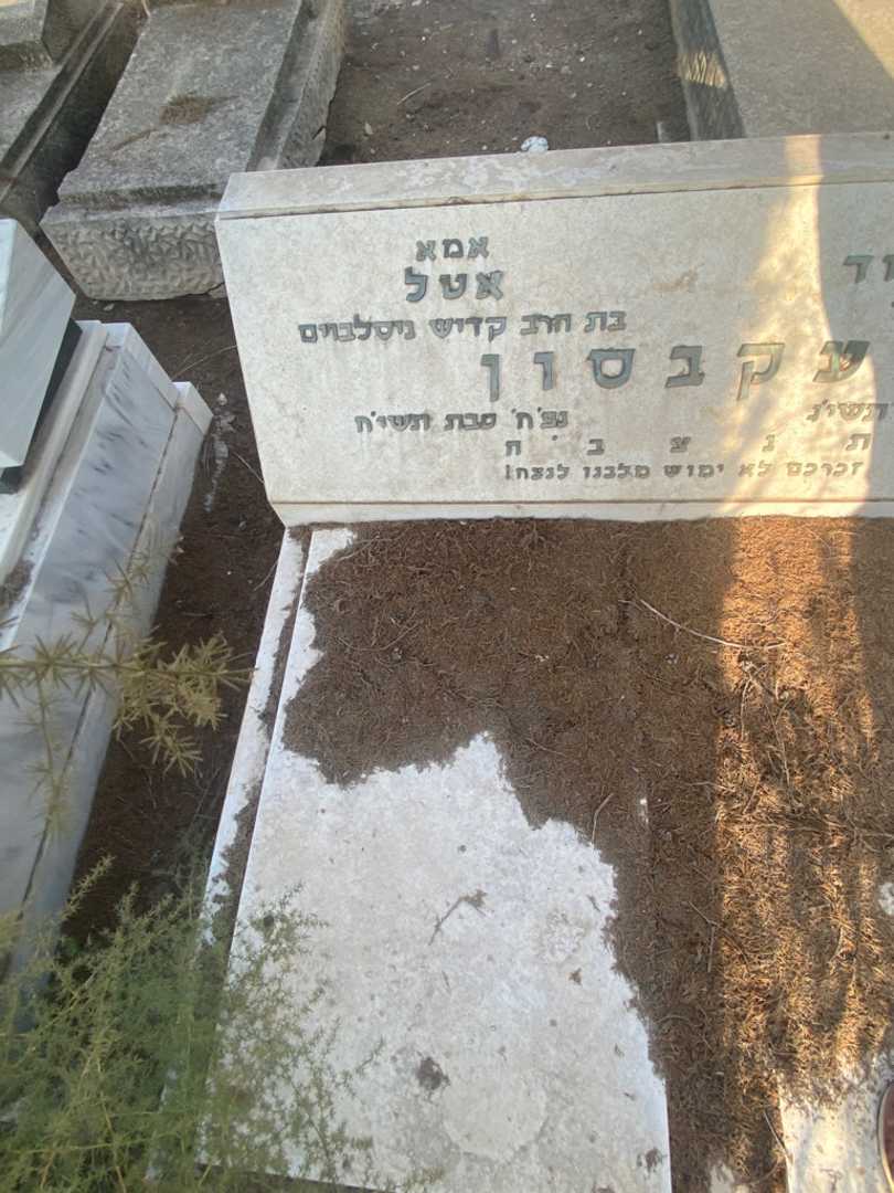 קברו של אטל יעקבסון ניסלבוים. תמונה 2