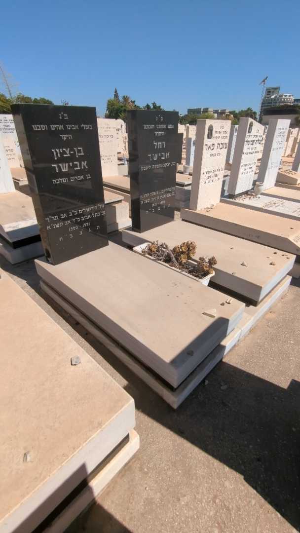 קברו של רחל אבישר. תמונה 2