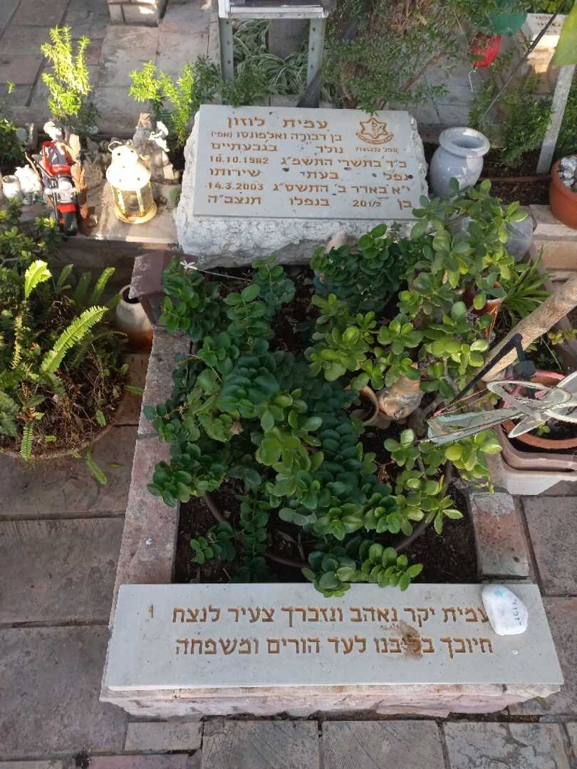 קברו של עמית לוזון
