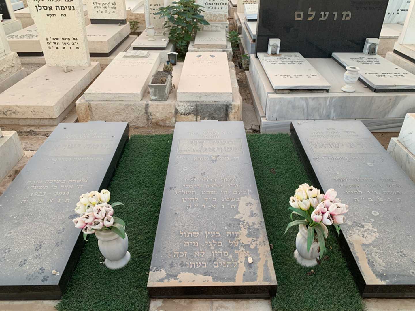קברו של סעיד דני ישראל. תמונה 1