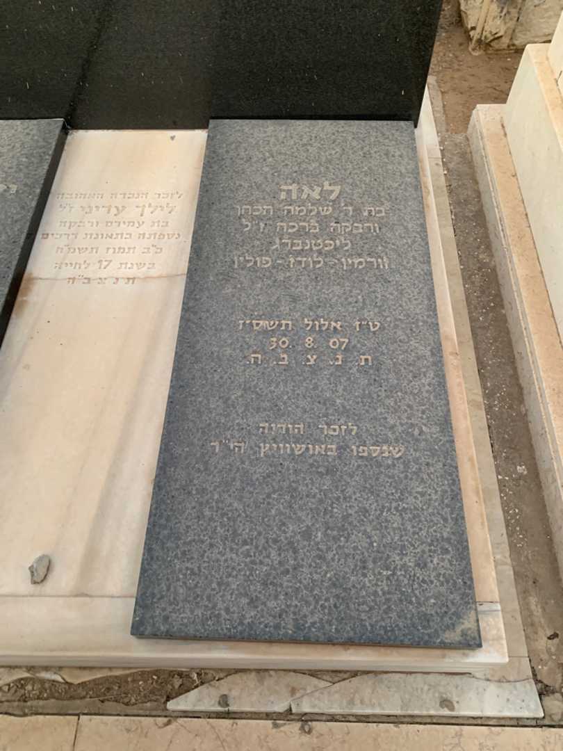 קברו של לאה עדיני. תמונה 2