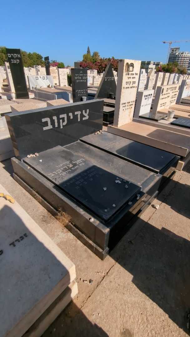 קברו של רחל צדיקוב. תמונה 2