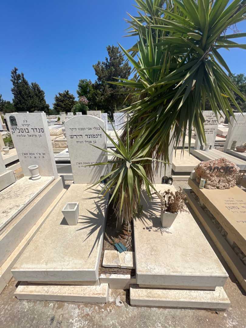 קברו של סוניה הירש. תמונה 1