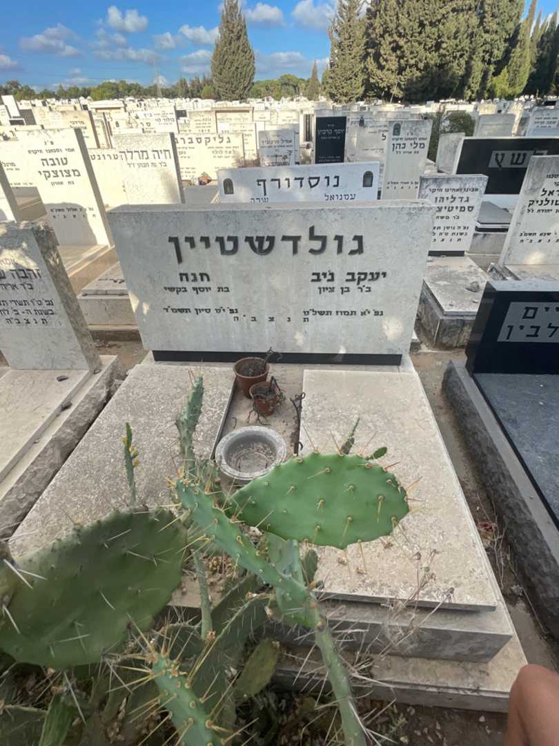 קברו של חנה גולדשטיין. תמונה 1