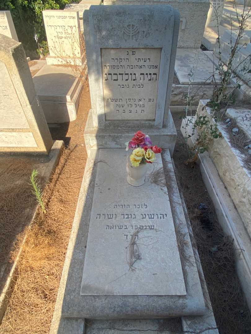 קברו של הניה גולדברג