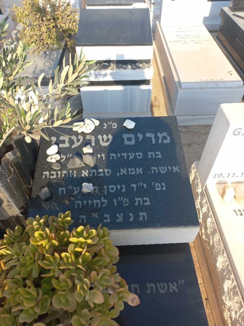 קברו של יחזקאל שרעבי. תמונה 2