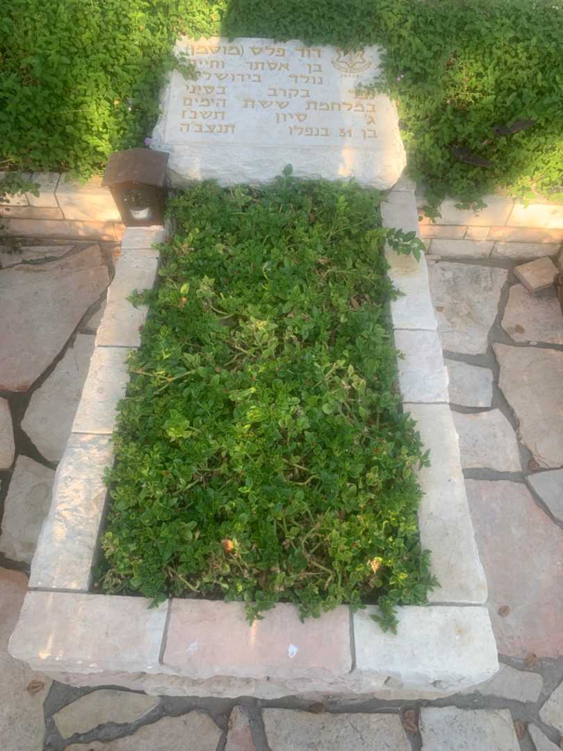 קברו של דוד "מוסמן" פלס