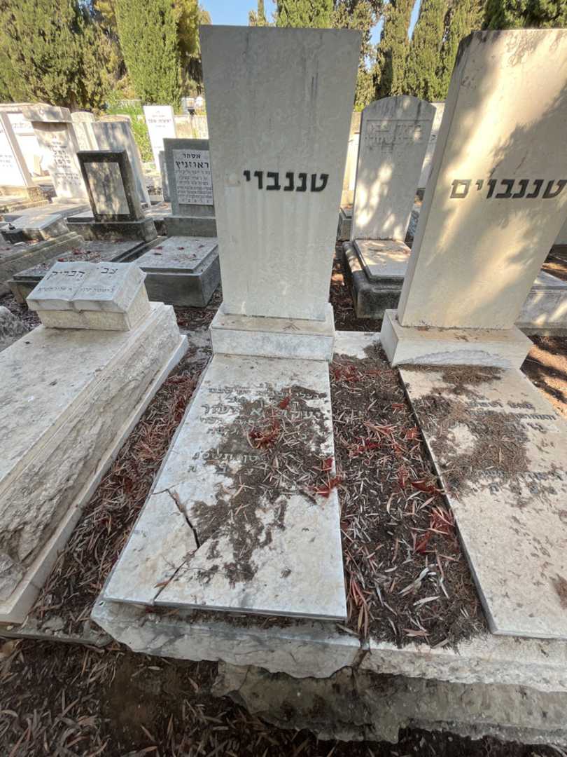 קברו של יעקב אליעזר טננבוים. תמונה 2