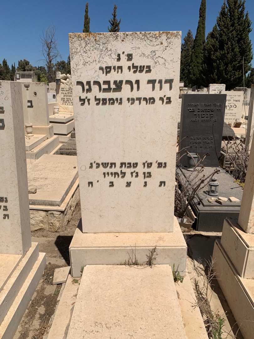 קברו של דוד ורצברגר