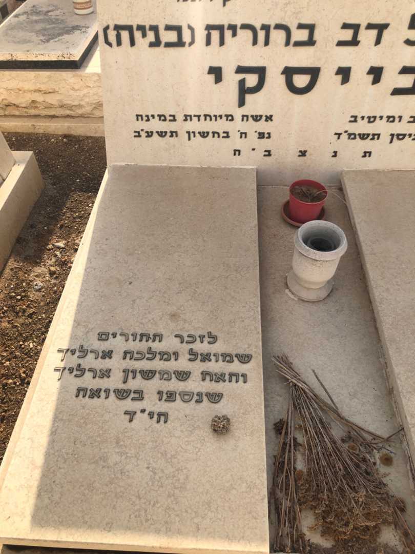 קברו של שמואל ארליך. תמונה 1