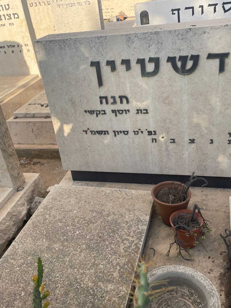קברו של חנה גולדשטיין. תמונה 2
