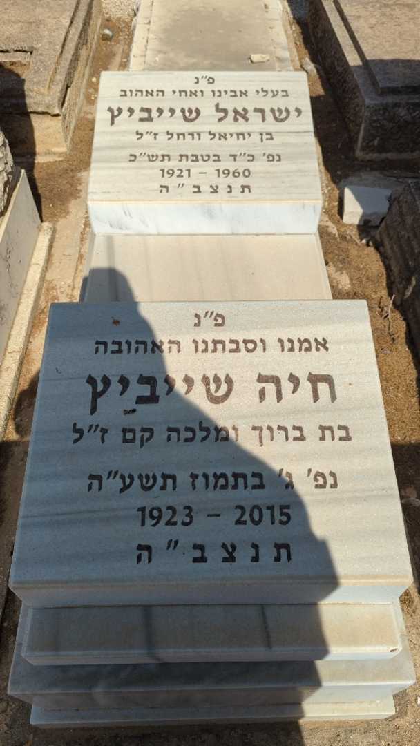 קברו של ישראל שייביץ