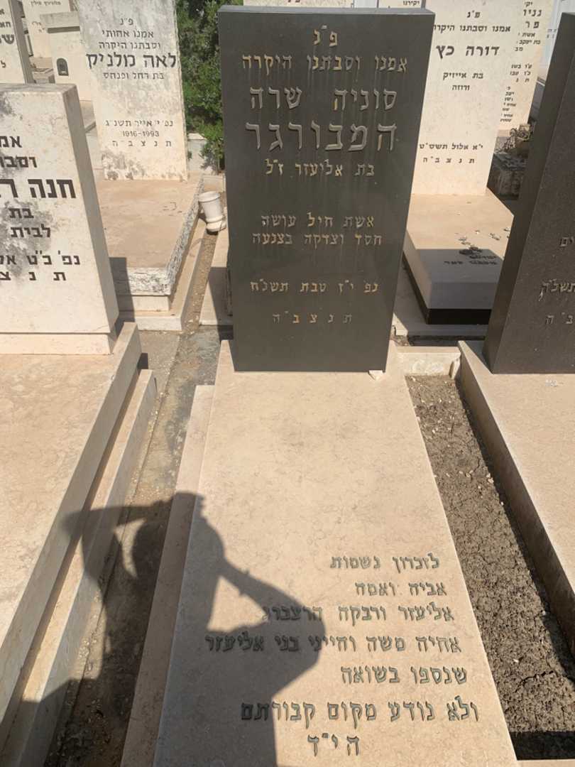 קברו של משה הרצברג. תמונה 1