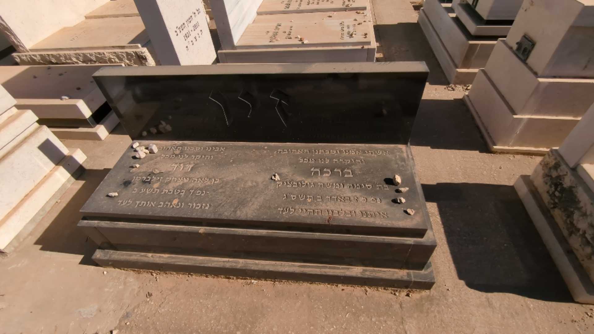 קברו של דוד זיו