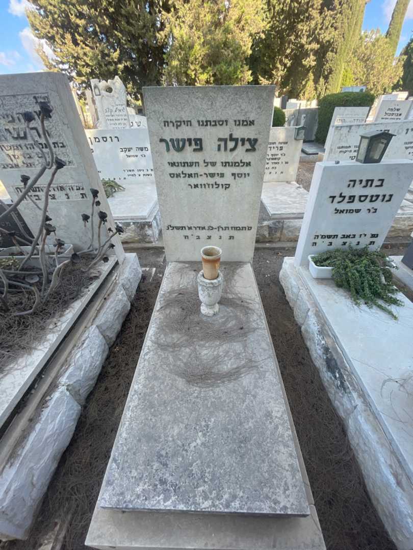 קברו של צילה פישר