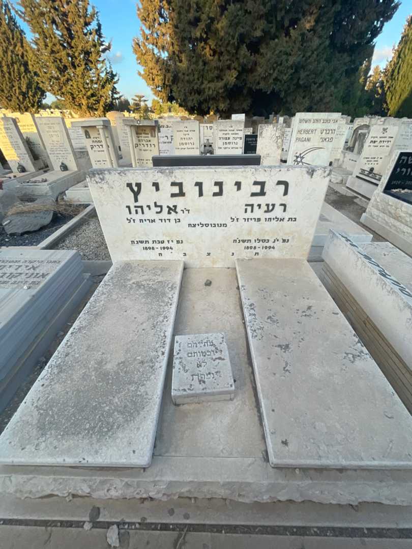קברו של אליהו רבינוביץ. תמונה 1