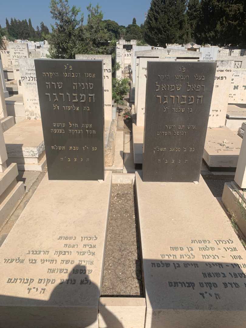 קברו של משה הרצברג. תמונה 2