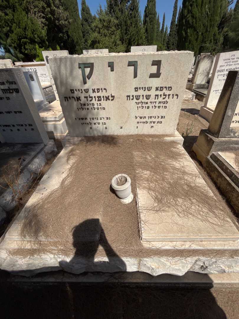 קברו של רוזליה שושנה בריק. תמונה 2