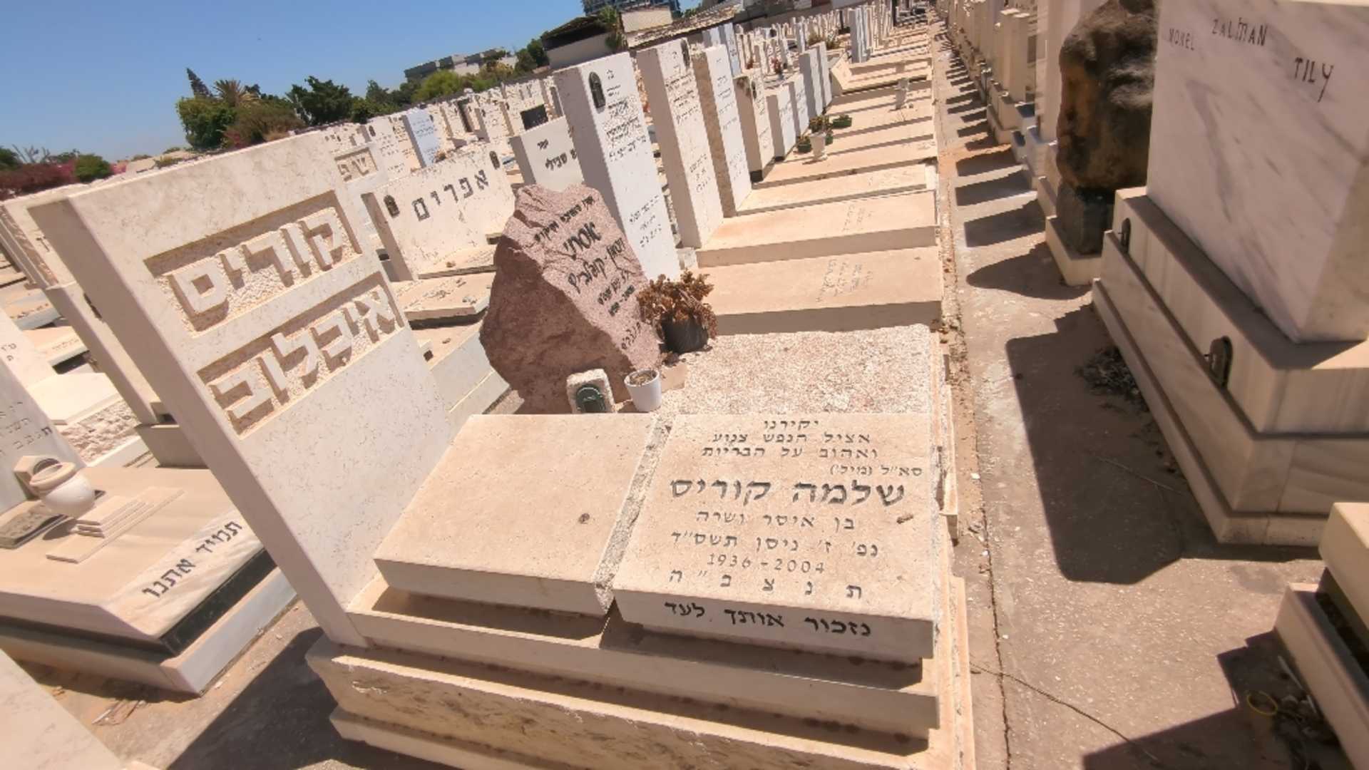 קברו של שלמה קוריס