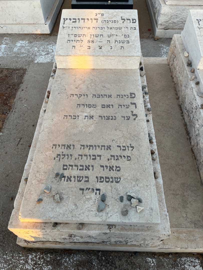 קברו של פרל "פנינה" דוידוביץ. תמונה 1