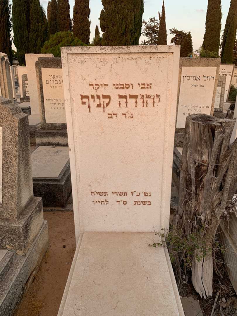קברו של יהודה קניף
