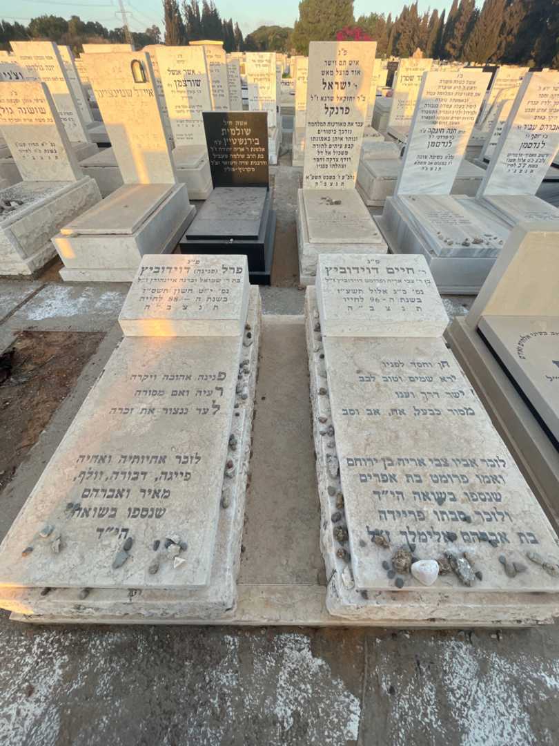 קברו של פרל "פנינה" דוידוביץ. תמונה 2