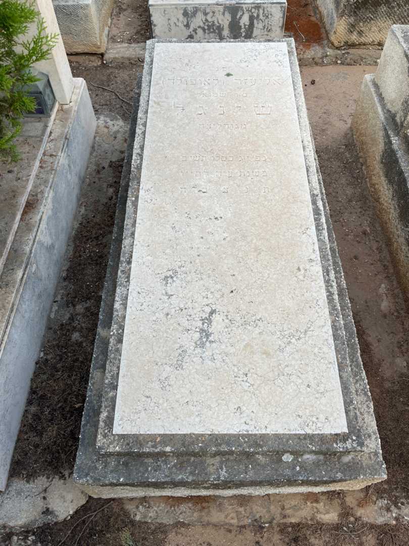 קברו של אליעזר "לאופולד" שינגל