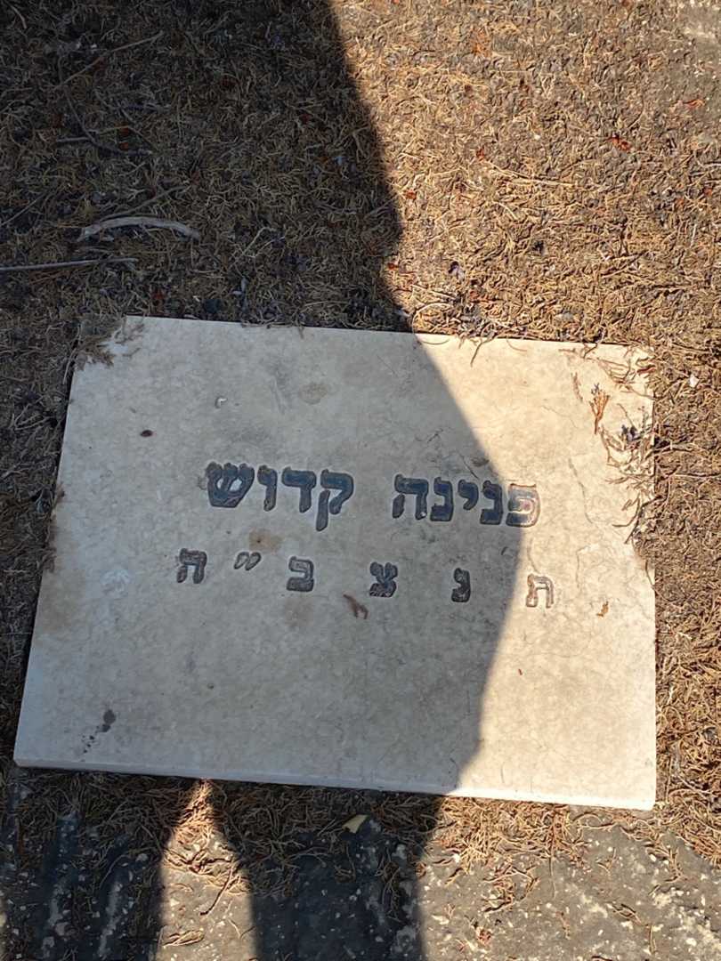 קברו של פנינה קדוש