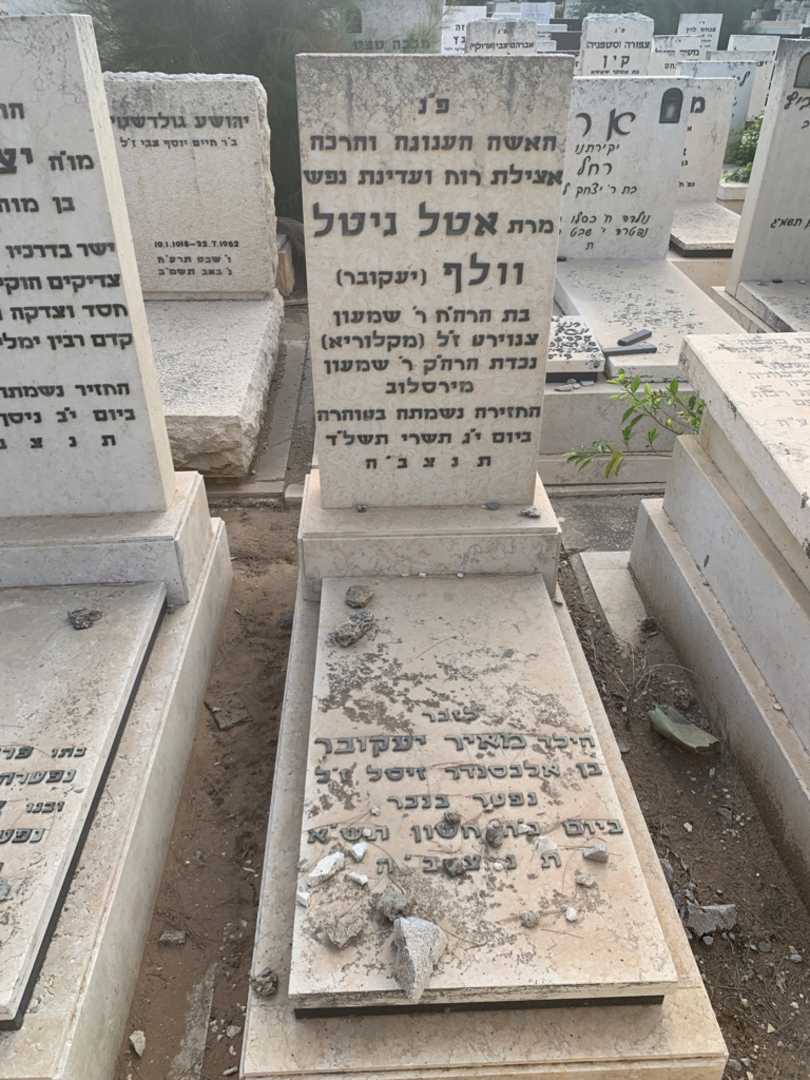 קברו של מאיר יעקובר. תמונה 1