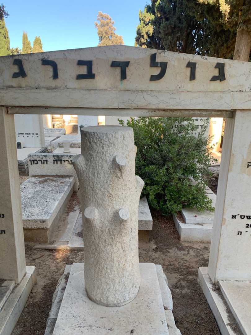 קברו של דב גולדברג. תמונה 1