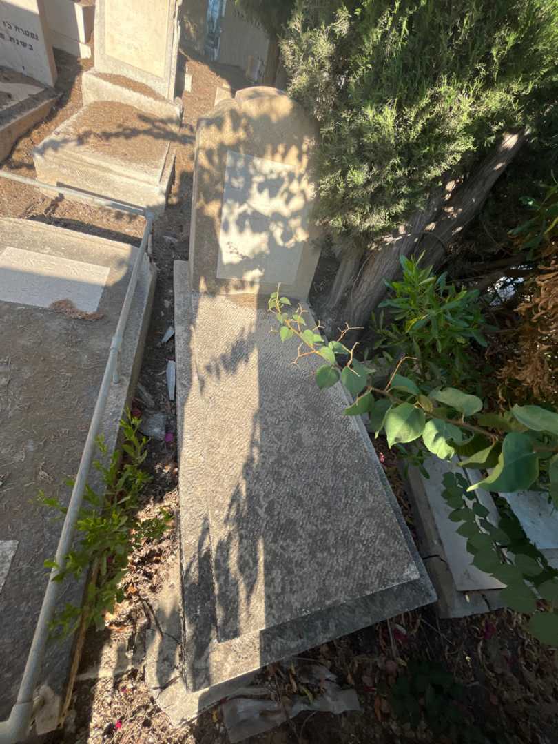 קברו של ליב גלוברמן. תמונה 1