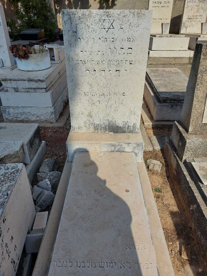 קברו של כתון ידידיה