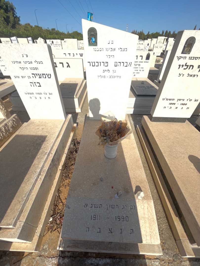 קברו של אברהם פרוכטר