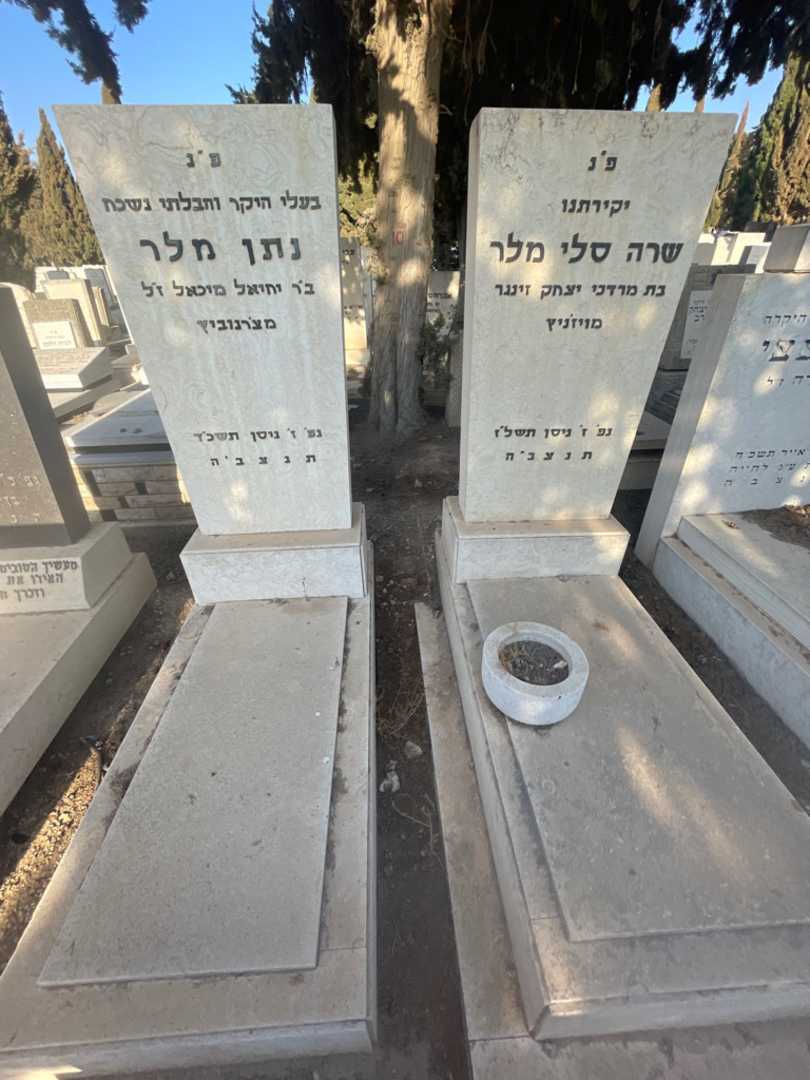 קברו של נתן מלר. תמונה 1
