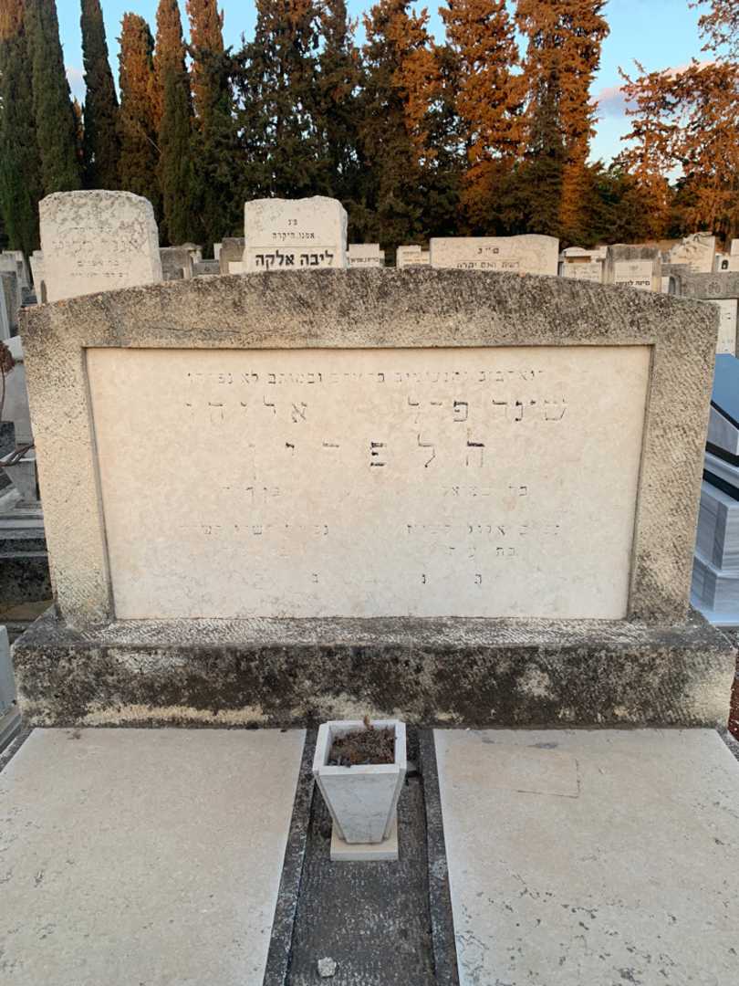 קברו של שינה פרל הלפרין. תמונה 1