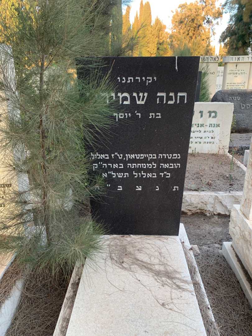 קברו של חנה שמירין. תמונה 1