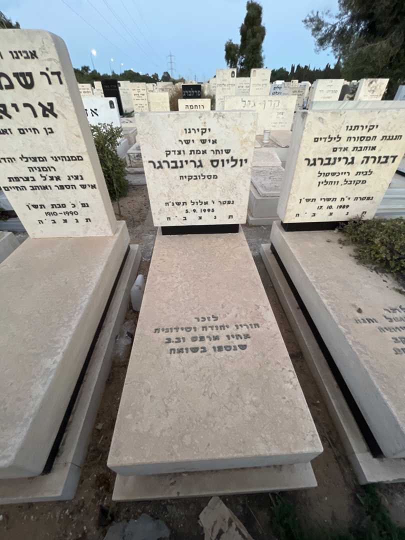 קברו של יוליוס גרינברגר. תמונה 1